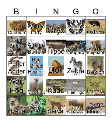 Safari Animal Bingo Card