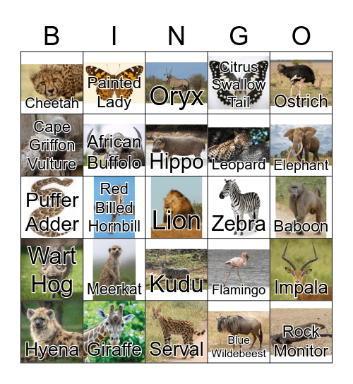 Safari Animal Bingo Card