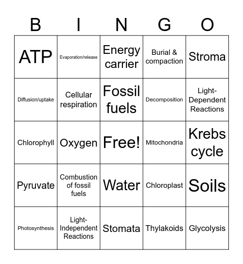 Unit 5 - Photosynthesis & Respiration Bingo Card