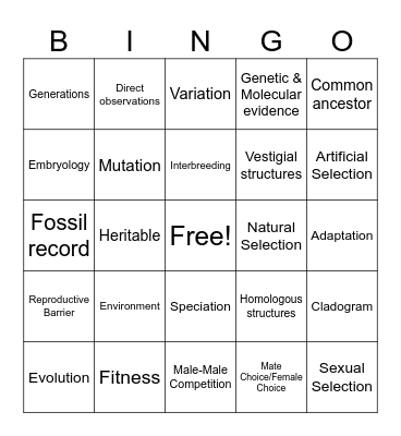 Unit 6 - Evolution Bingo Card