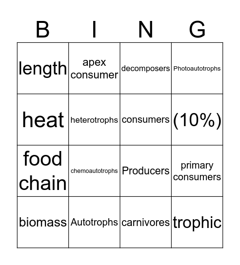 Ecosystems  Bingo Card