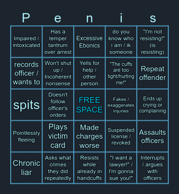 Police Bodycam Video BINGO Card