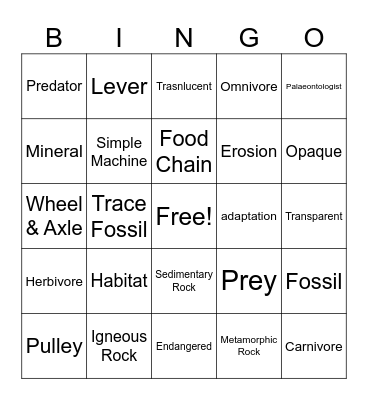 Science Fun End of Year!! Bingo Card