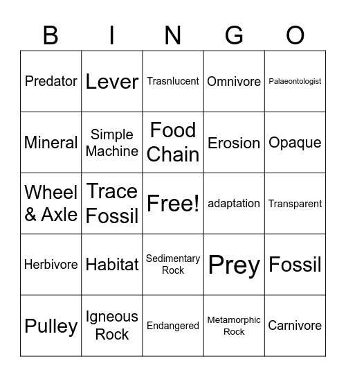 Science Fun End of Year!! Bingo Card