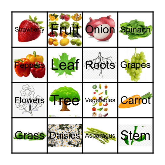 Plants 2026 Bingo Card