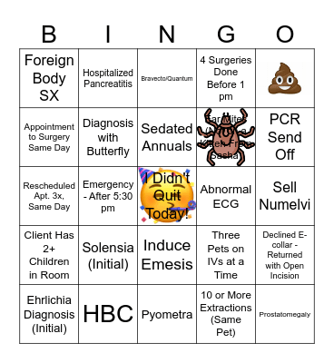 DVM Bingo Card
