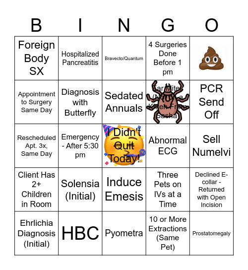 DVM Bingo Card