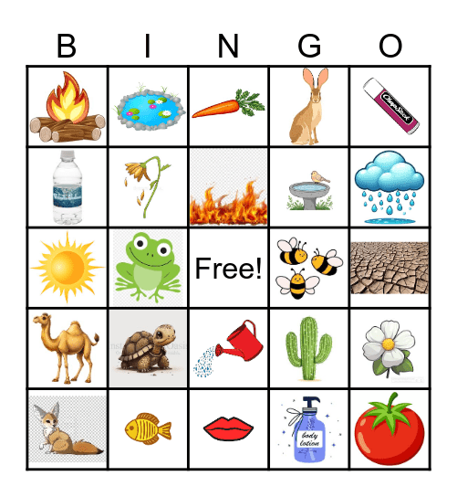 Dry Weather Bingo Card