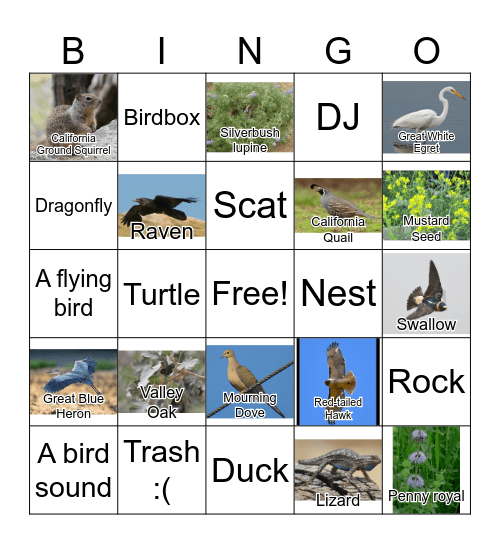 Owl Hollow Nature Bingo Card