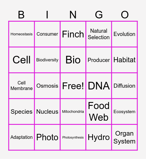 Beat the Regents Bingo Card