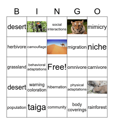 Ecosystem Vocabulary Bingo Card