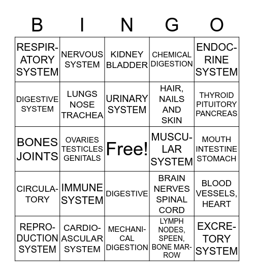 BODY SYSTEMS Bingo Card