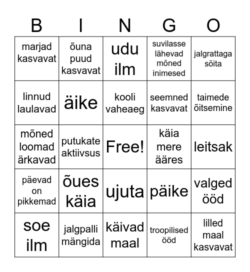 suvi Bingo Card