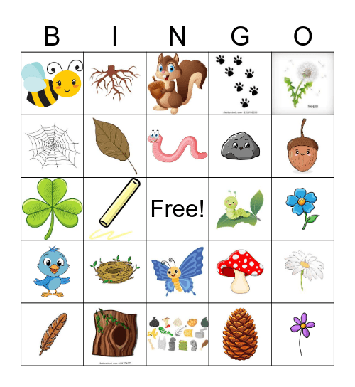 BINGO extérieur Bingo Card