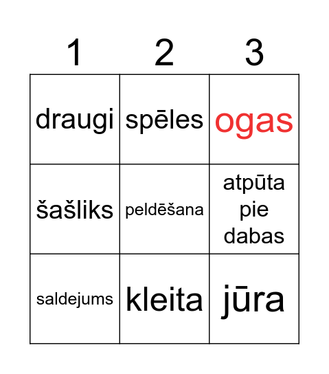 Vasara Bingo Card