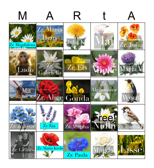 Sion, het tofste verdiep Bingo Card