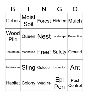 Asian Needle Ants Bingo Card