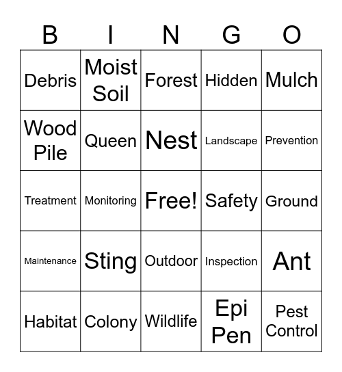 Asian Needle Ants Bingo Card