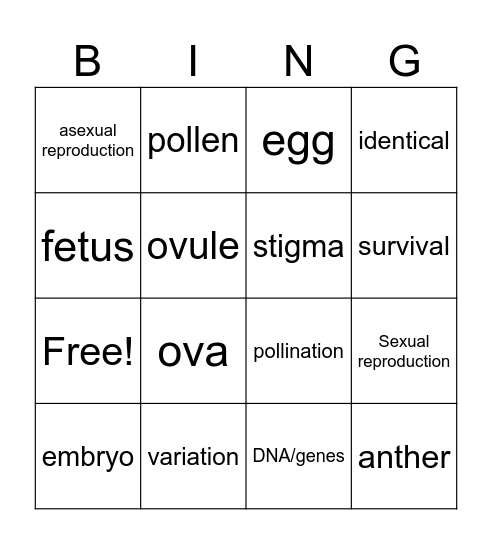 Reproduction Keywords Bingo Card