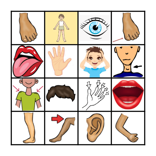 El Cuerpo Bingo Card