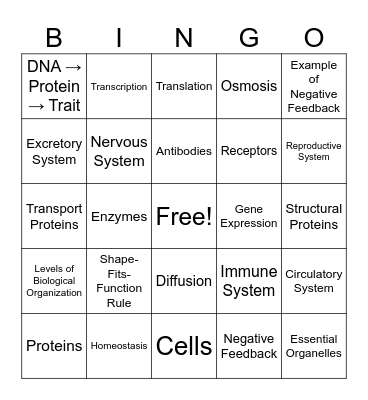 REGENTS REVIEW Bingo Card