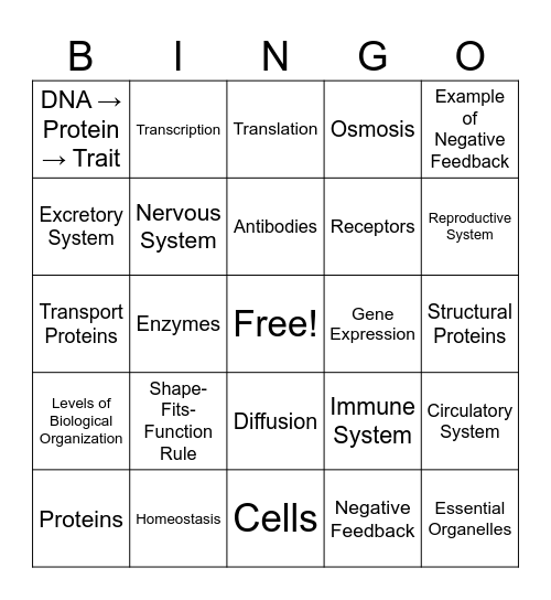 REGENTS REVIEW Bingo Card
