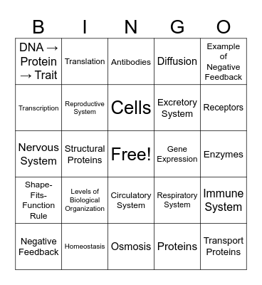 REGENTS REVIEW Bingo Card