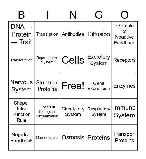 REGENTS REVIEW Bingo Card