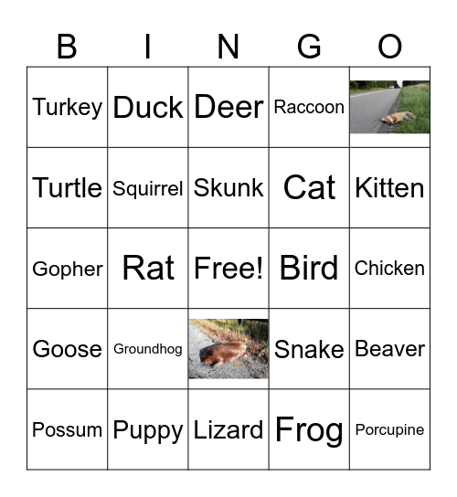 Roadkill Bingo Card