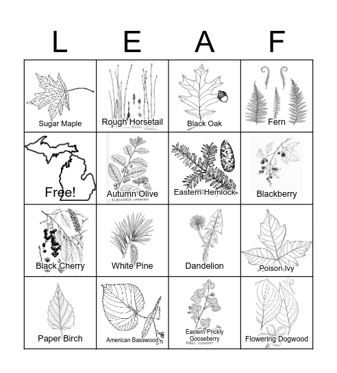 Michigan Plant Bingo Card