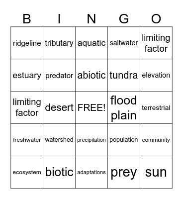 Science Words Bingo Card