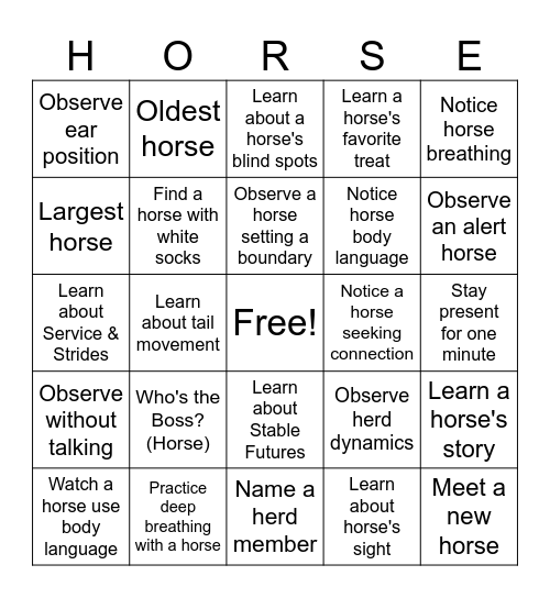 In Step With Horses Bingo Card