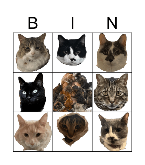 Lucy Bingo Card