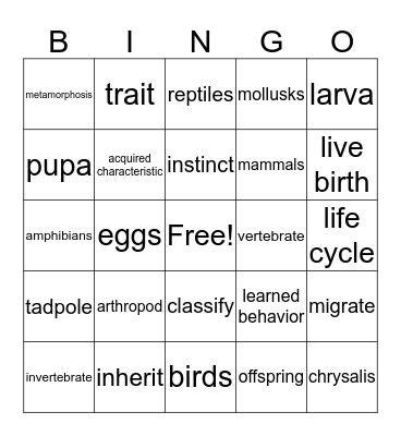 Living things Bingo Card