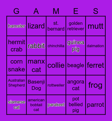 PETS Bingo Card