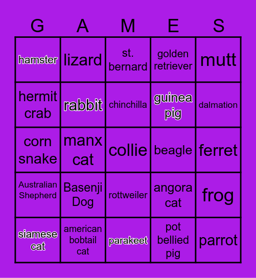 PETS Bingo Card