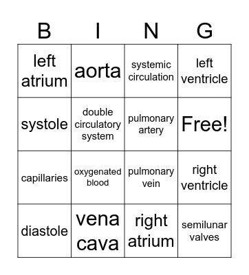 Heart & Circulatory System Bingo Card