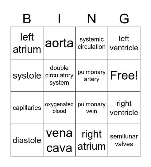 Heart & Circulatory System Bingo Card
