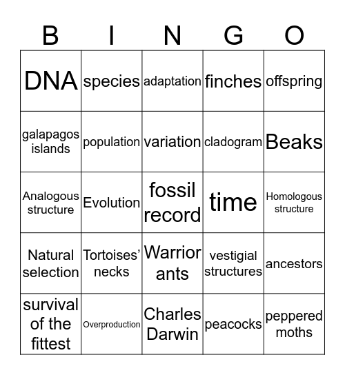 Evolution Bingo! Bingo Card