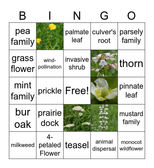 PRAIRIE BINGO Card