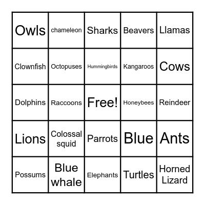 Fun Fact Bingo Card