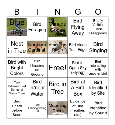 Bird Bingo! Bingo Card