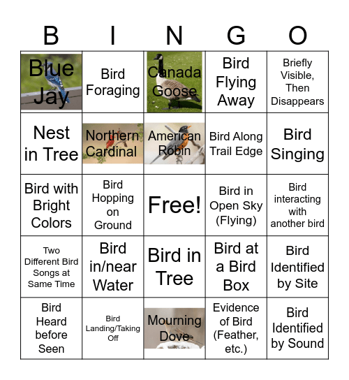 Bird Bingo! Bingo Card