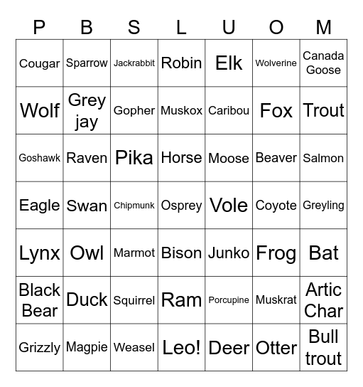 Animal Bingo Card