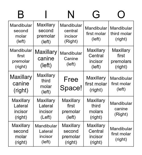 Tooth Naming Bingo! Bingo Card