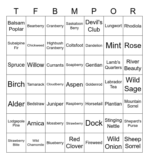 Flora Bingo Pt.1 Bingo Card