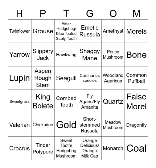 Misc Bingo Card