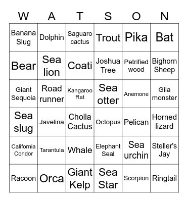 Watson's Trip Bingo Card