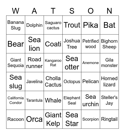 Watson's Trip Bingo Card