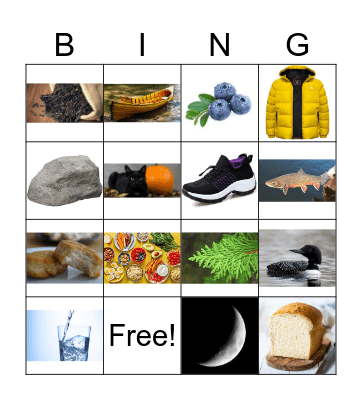 Anishinaabemowin Bingo Card